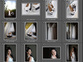 Preview-preview