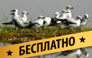 Schedule_image-normal