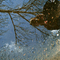Image-avatar