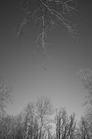 Image-preview