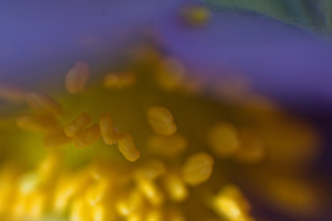 Image-preview