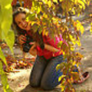 Image-square_360