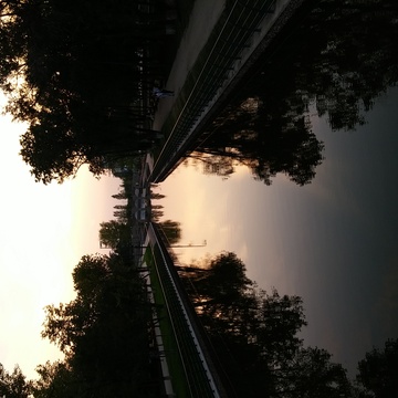Image-square_360