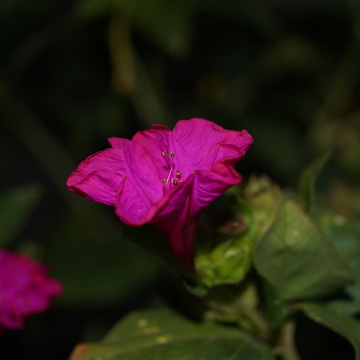 Image-square_360