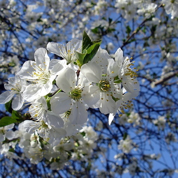 Image-square_360
