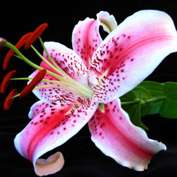Image-square_360